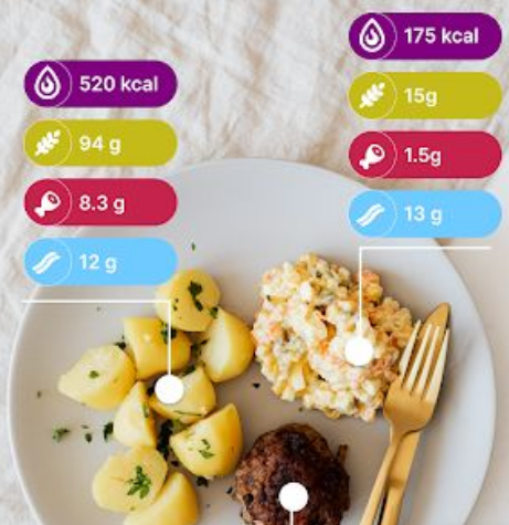 calorie camera diet app