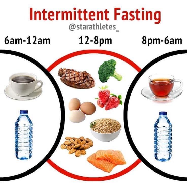 intermittent fasting diet pulse app